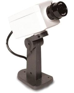 Motion-Activated Imitation Video Surveillance Camera